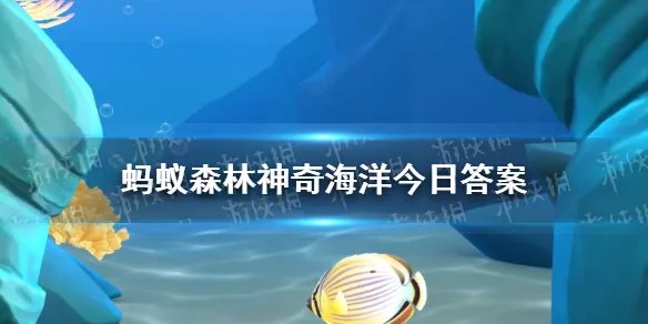 绣花脊熟若蟹是最毒的螃蟹吗 神奇海洋螃蟹