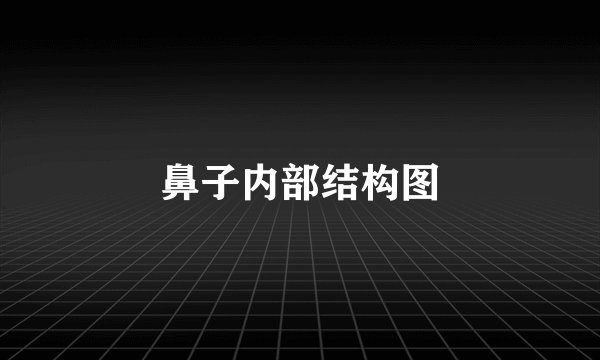 鼻子内部结构图