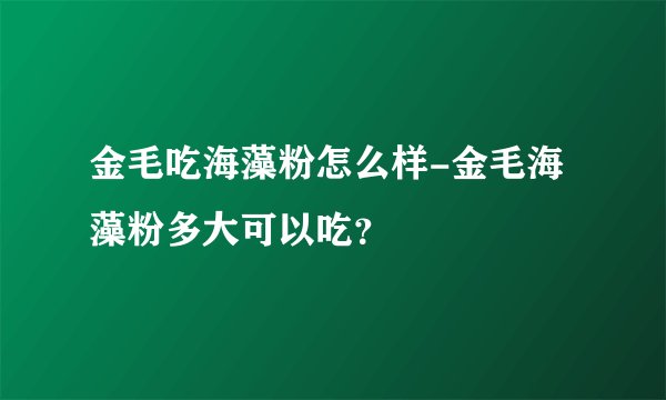 金毛吃海藻粉怎么样-金毛海藻粉多大可以吃？
