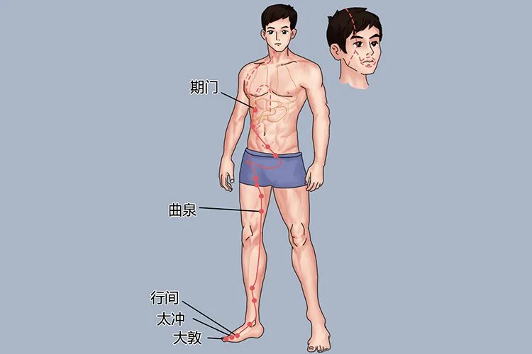 艾灸人体的经络位置图