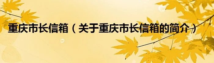 重庆市长信箱（关于重庆市长信箱的简介）