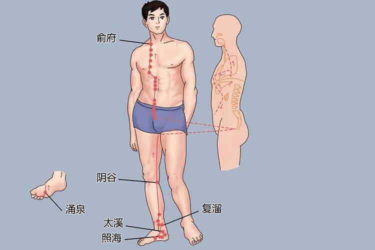 艾灸人体的经络位置图