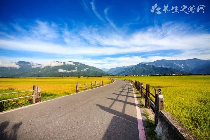 去皱化妆品什么牌子好 补水去皱护肤品排行榜
