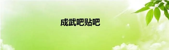 成武吧贴吧
