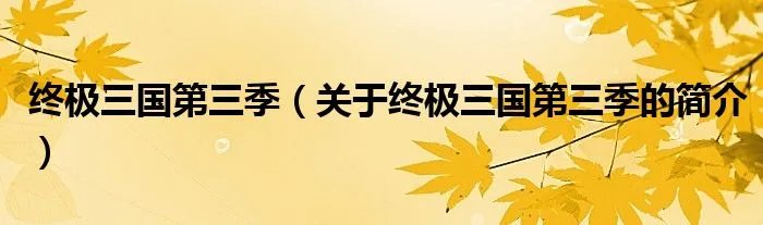 终极三国第三季（关于终极三国第三季的简介）