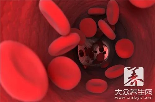  b型血的性格特点