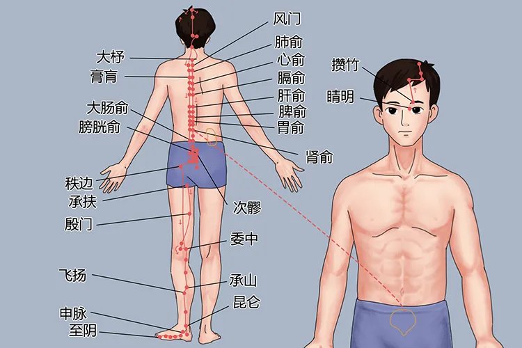 艾灸人体的经络位置图