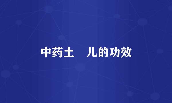 中药土圞儿的功效