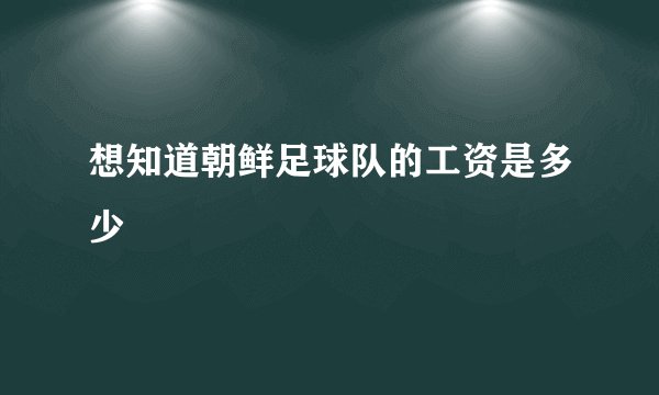 想知道朝鲜足球队的工资是多少