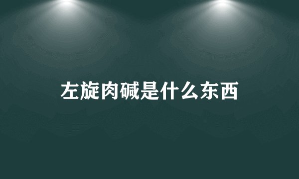 左旋肉碱是什么东西