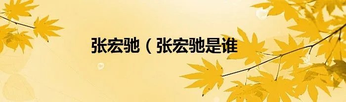 张宏驰（张宏驰是谁