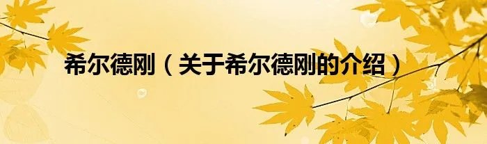 希尔德刚（关于希尔德刚的介绍）