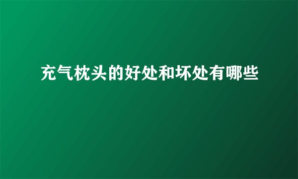 充气枕头的好处和坏处有哪些