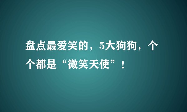 盘点最爱笑的，5大狗狗，个个都是“微笑天使”！