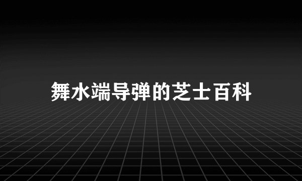 舞水端导弹的芝士百科
