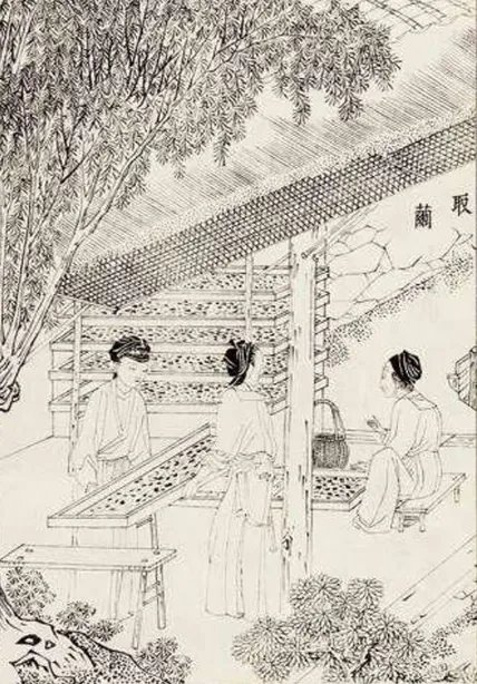 天工开物