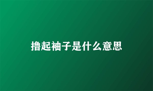 撸起袖子是什么意思