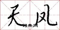 天凤