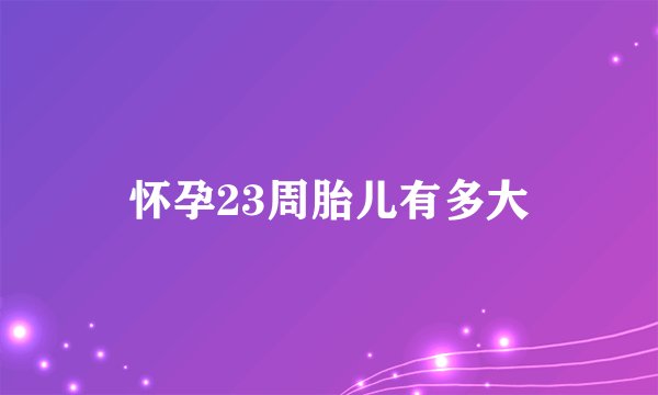 怀孕23周胎儿有多大