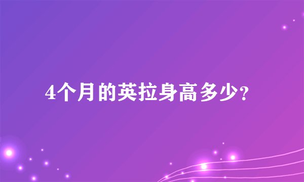 4个月的英拉身高多少？