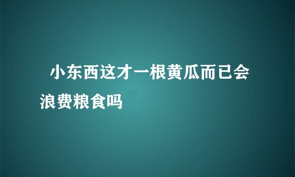   小东西这才一根黄瓜而已会浪费粮食吗