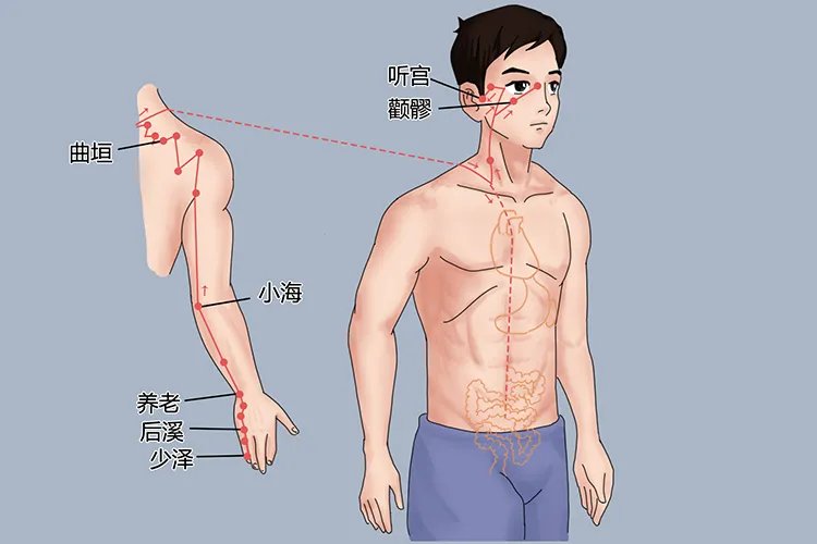 艾灸人体的经络位置图