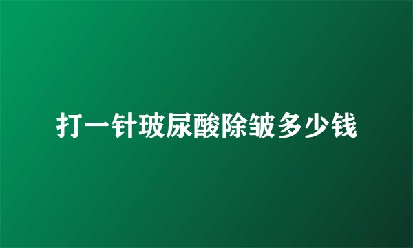 打一针玻尿酸除皱多少钱