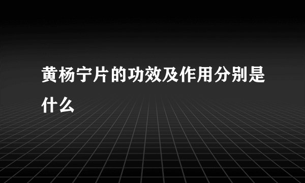 黄杨宁片的功效及作用分别是什么