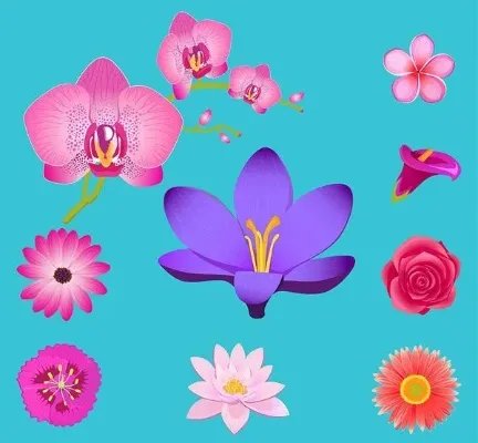合欢果有什么用