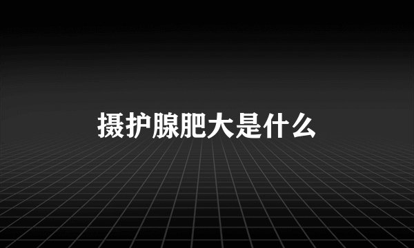 摄护腺肥大是什么