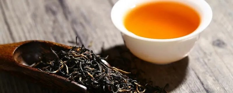 茶的品种