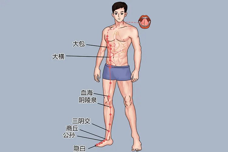 艾灸人体的经络位置图