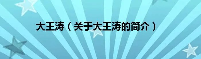 大王涛（关于大王涛的简介）