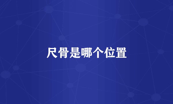 尺骨是哪个位置