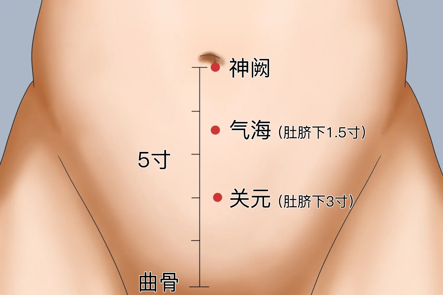 拔罐拔肚子位置示意图