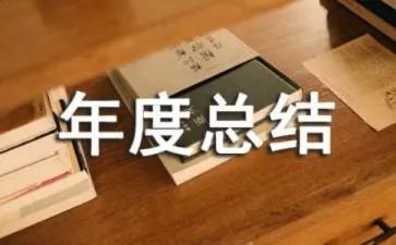 团员个人年度总结