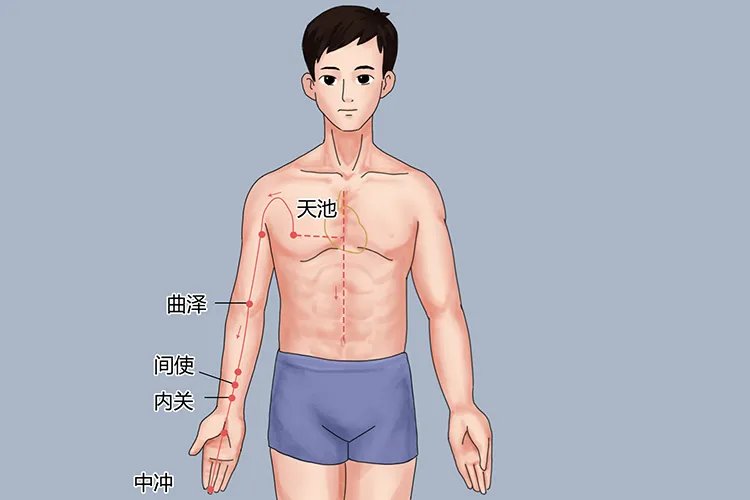 艾灸人体的经络位置图