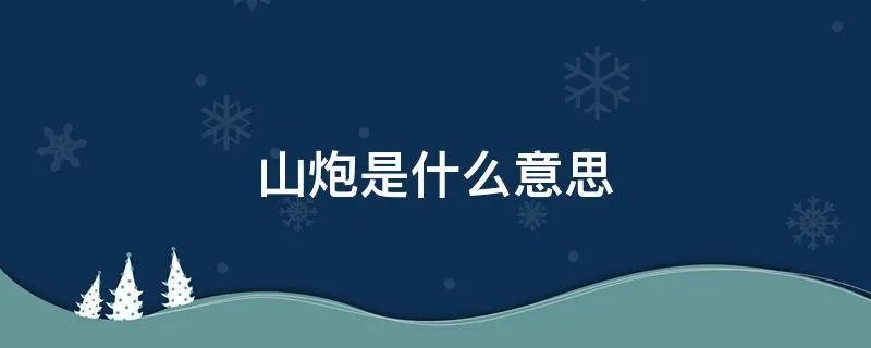 山炮是什么意思