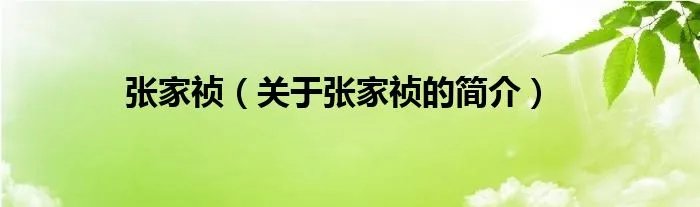 张家祯（关于张家祯的简介）