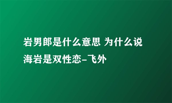 岩男郎是什么意思 为什么说海岩是双性恋-飞外