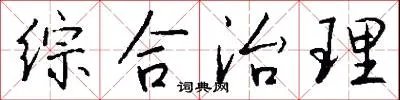 综合治理
