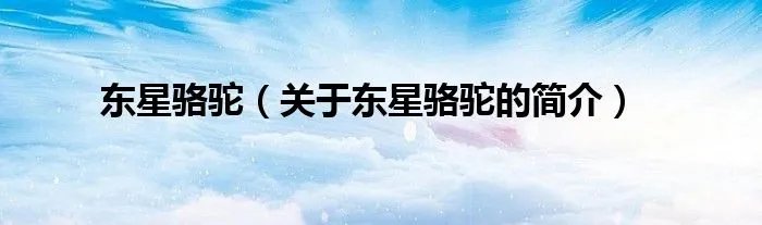 东星骆驼（关于东星骆驼的简介）