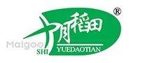 2022双十一成绩单出炉 双十一天猫京东交易额 2022年双十一销售额