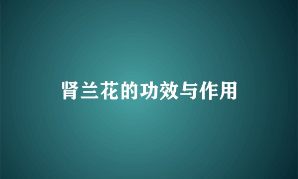 肾兰花的功效与作用
