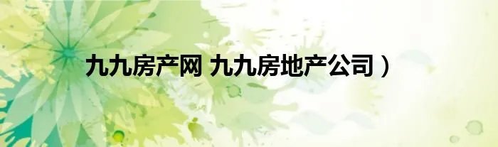 九九房产网 九九房地产公司)