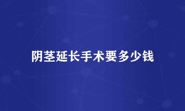 阴茎延长手术要多少钱