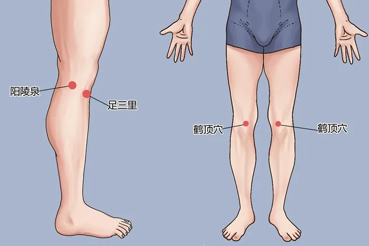 阴陵泉准确位置图和作用功效
