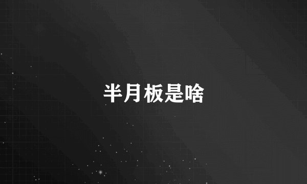 半月板是啥