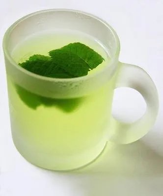 桑叶茶的副作用 桑叶茶的功效与副作用