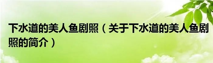 下水道的美人鱼剧照（关于下水道的美人鱼剧照的简介）